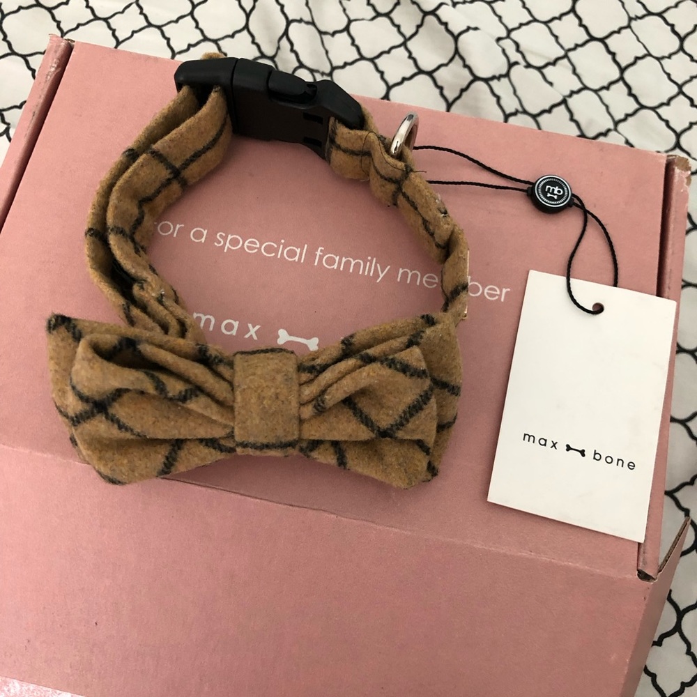 Max bone bow collar.  Size Medium